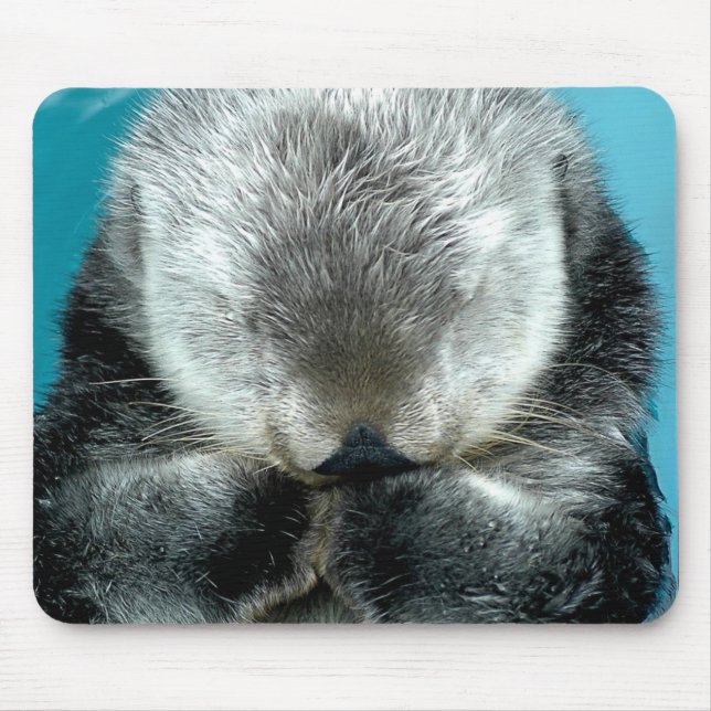 Tapis De Souris Sommeiller de loutre de mer (Devant)