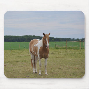 Tapis De Souris Sorrel Tobiano Paint Horse