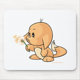 Tapis De Souris Souhait de Kacheek orange
