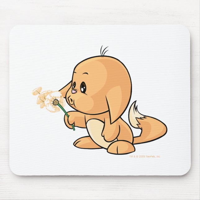 Tapis De Souris Souhait de Kacheek orange (Devant)