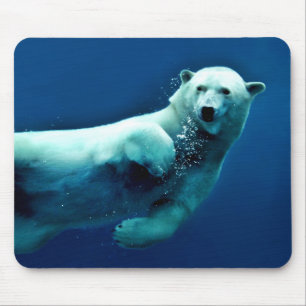 Tapis De Souris Souris À Ours Polaire Piscine