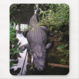 Tapis De Souris Souris Alligator
