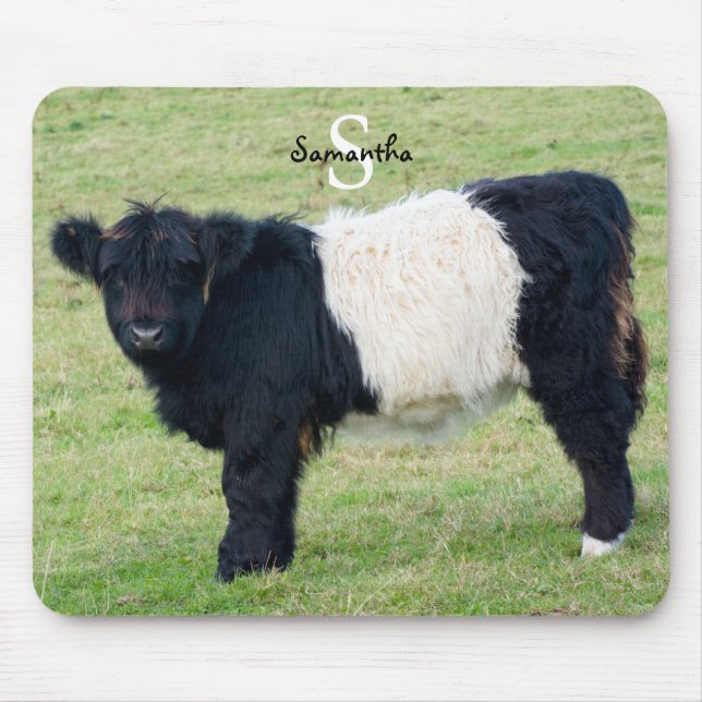 Tapis De Souris Souris Beled Galloway (Devant)