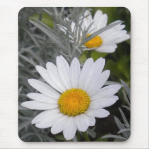 Tapis De Souris Souris blanche