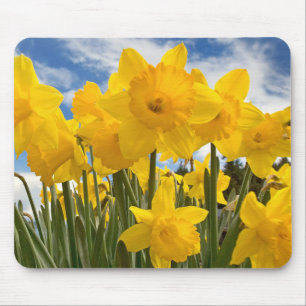 Tapis De Souris Souris-Daffodiques