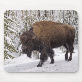 Tapis De Souris Souris de bison américain