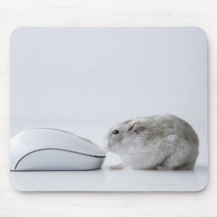 Tapis De Souris Souris de hamster et d'ordinateur