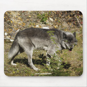 Tapis De Souris Souris de souris de loup gris