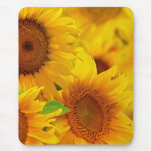 Tapis De Souris Souris de tournesol
