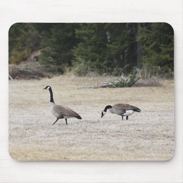 Tapis De Souris Souris d'oies canadiennes (Devant)