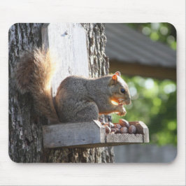 Tapis De Souris Souris écureuil