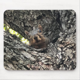 Tapis De Souris Souris écureuil