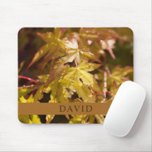 Souris japonaise branchée