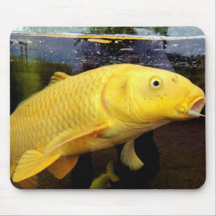 Tapis De Souris Souris Koi Carp