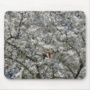 Tapis De Souris Souris Mirabelle Blossom