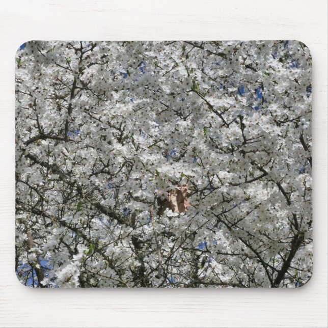 Tapis De Souris Souris Mirabelle Blossom (Devant)