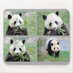 Tapis De Souris Souris Panda géant Photo, animaux 0264.