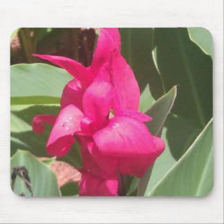 Tapis De Souris Souris rose Fleur