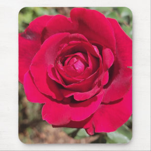 Tapis De Souris Souris rouge Rose