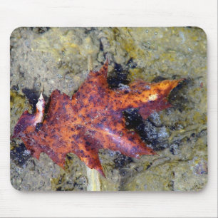 Tapis De Souris Sous l'eau