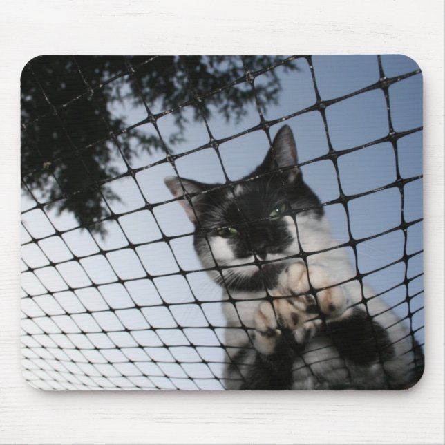 Tapis De Souris Soutenez le chat au coucher du soleil Mousepad (Devant)