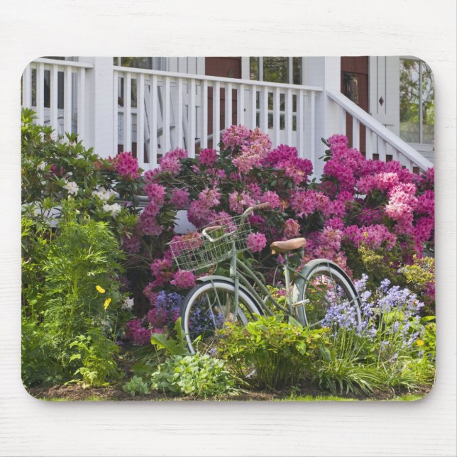 Tapis De Souris Spectaculaire floraison printanière, antiquité fan (Devant)