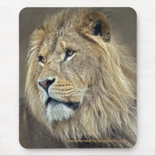 Tapis de souris Sphinx