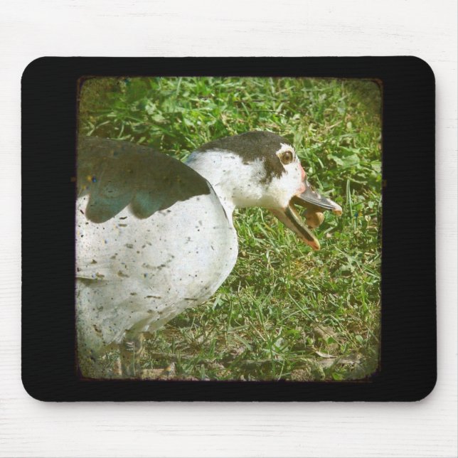 Tapis De Souris Spice Mange un maïs (Devant)