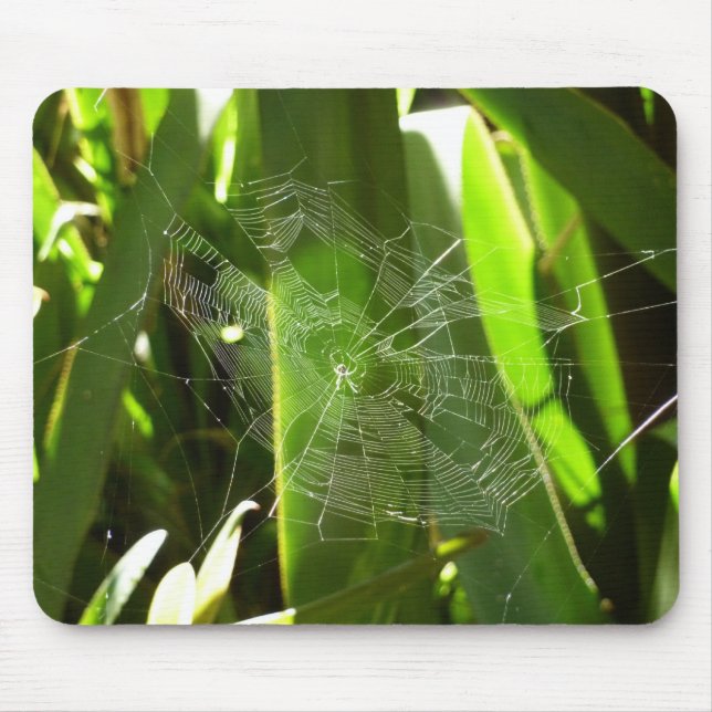 Tapis De Souris Spiderweb dans Tropical Leaves Nature (Devant)