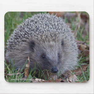 Tapis de souris Spike