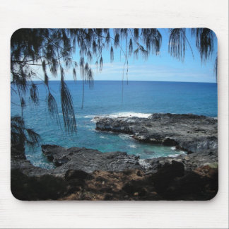 Tapis De Souris Spoutinghorn_Kauai_DrB