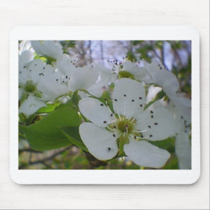 Tapis De Souris Spring blossom
