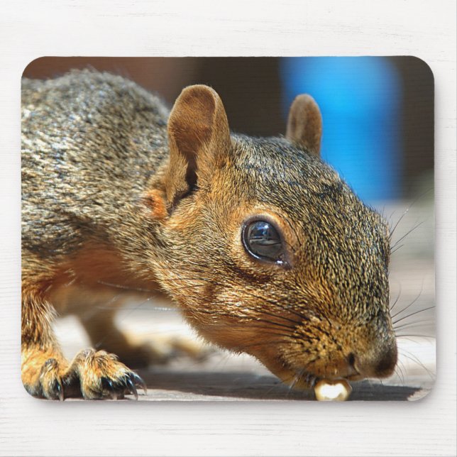 Tapis De Souris Squirrel Closeuse Manger (Devant)