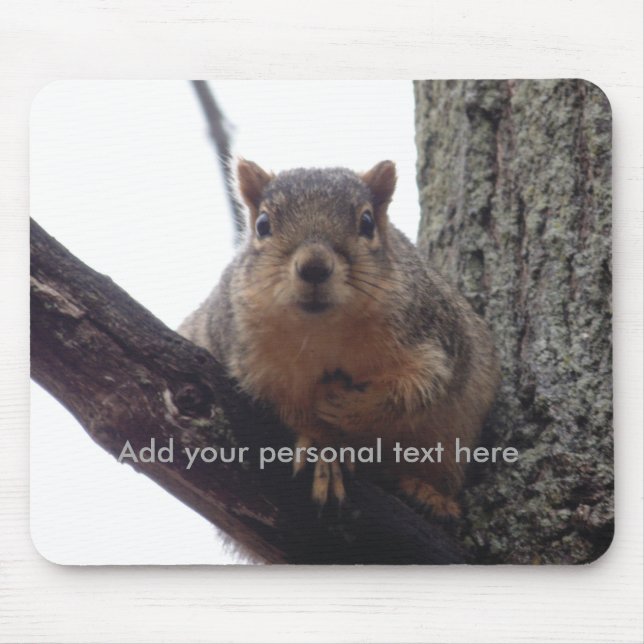 Tapis De Souris Squirrel looking at your mouse pad (Devant)