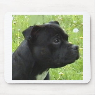 Tapis De Souris staffy.png