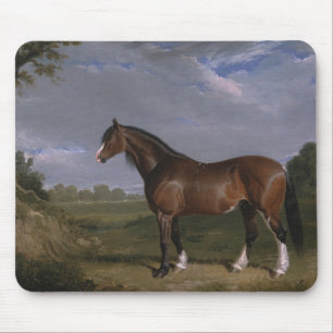 Tapis De Souris Stallion de Clydesdale (Thoroughbred Horse) (Anima