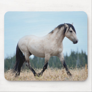 Tapis De Souris Stallion Wild Mustang