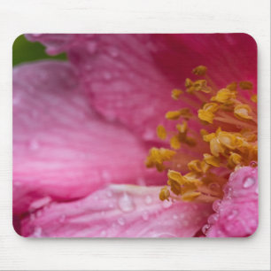 Tapis De Souris Stampes à fleurs de Camellia rose