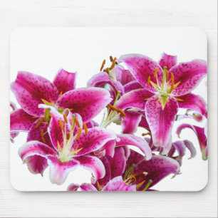 Tapis De Souris Stargazer Lilies
