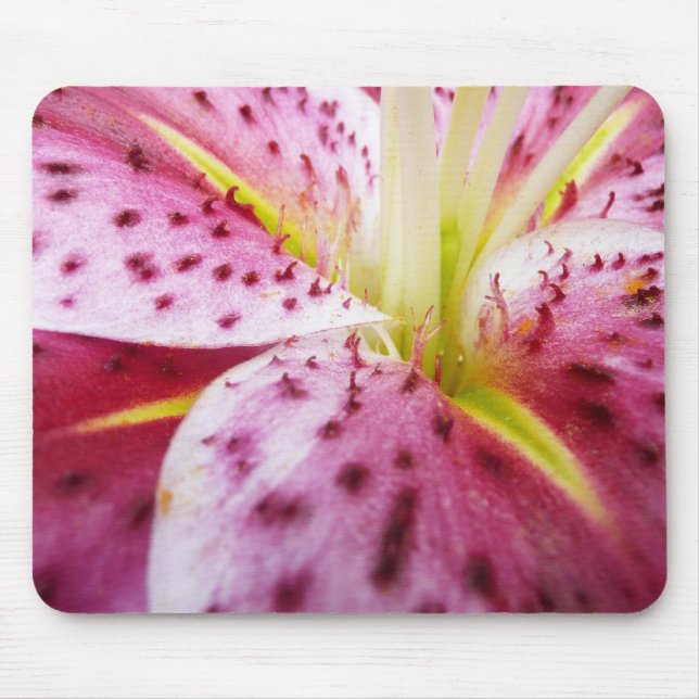 Tapis De Souris Stargazer Lily brillant Magenta Floral (Devant)