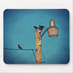 Tapis De Souris Starlings