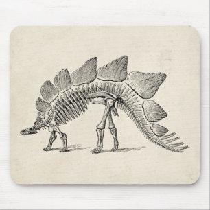 Tapis De Souris Stegosaurus Dinosaure Squelette Fossile