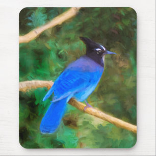 Tapis De Souris Steller's Jay Painting - Art original pour oiseaux