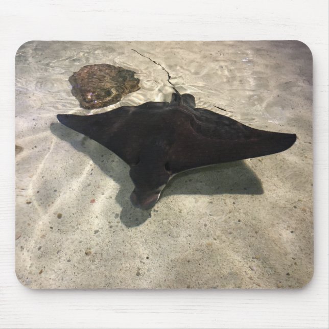 Tapis De Souris Stingray (Devant)
