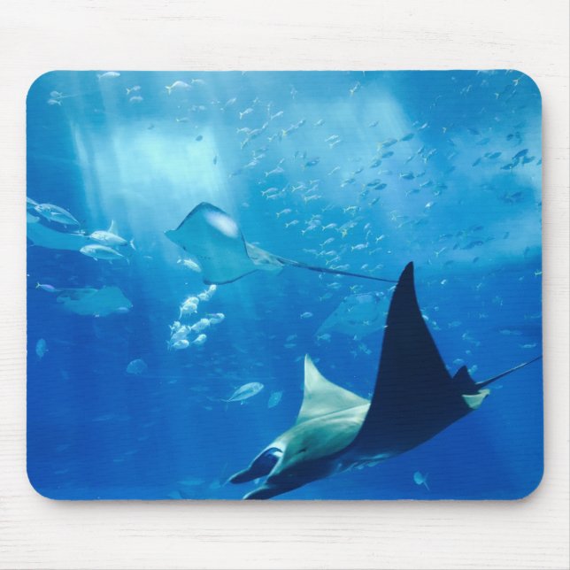 Tapis De Souris Stingray Sous L'Eau (Devant)