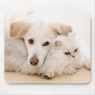 Tapis De Souris Studio tiré du chat et du chien