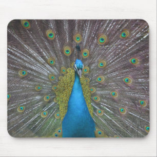 Tapis De Souris Stunning