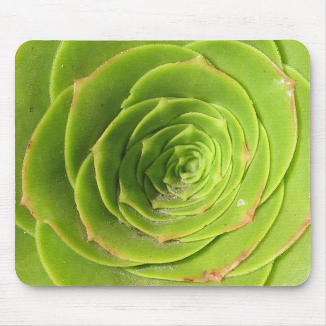 Tapis De Souris Succulent (Devant)