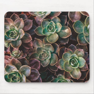 Tapis De Souris Succulent