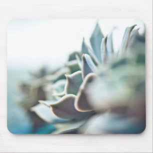 Tapis De Souris Succulent d'Echeveria